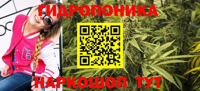 2c-b Камышлов